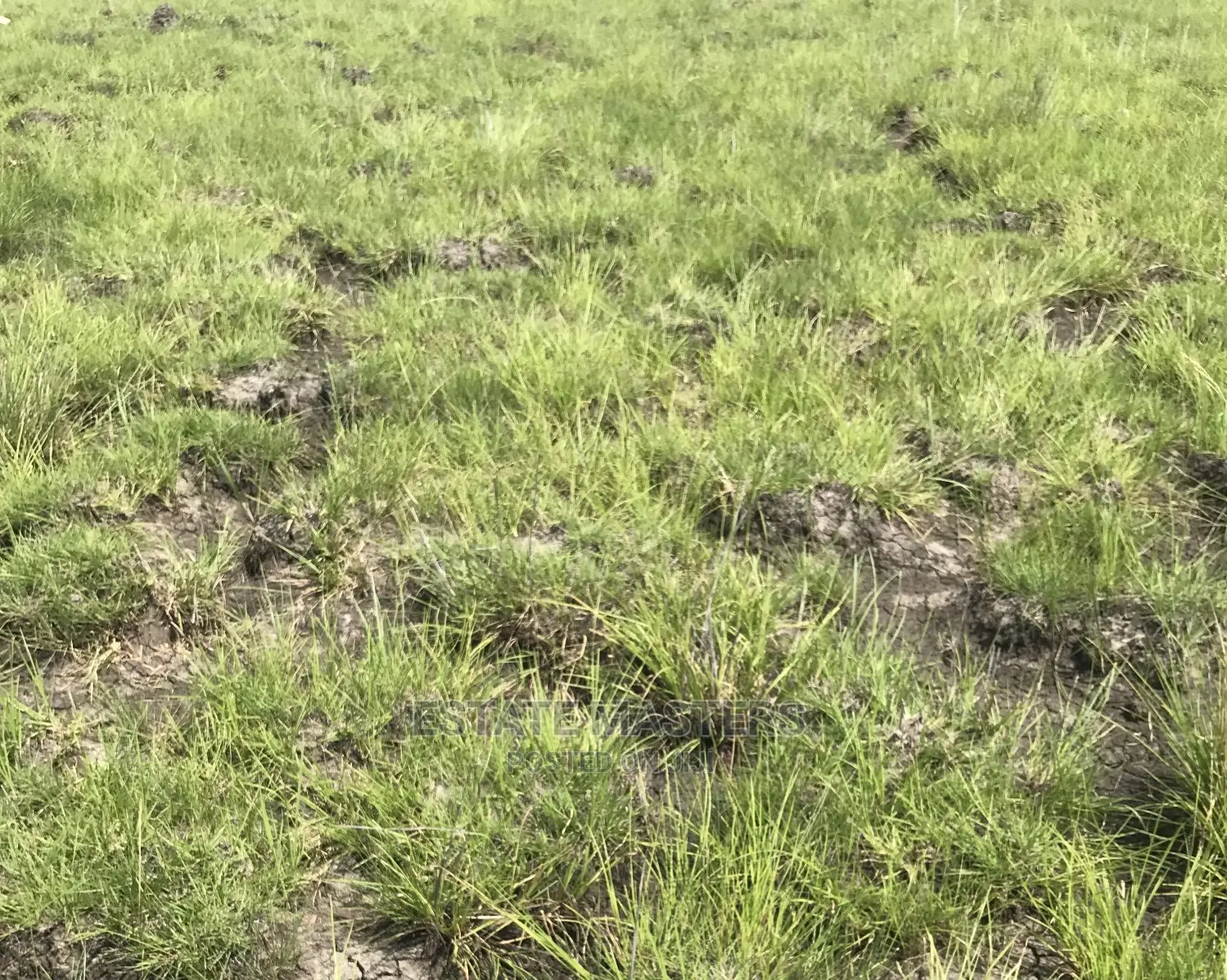 Super Sales on Registered Lands