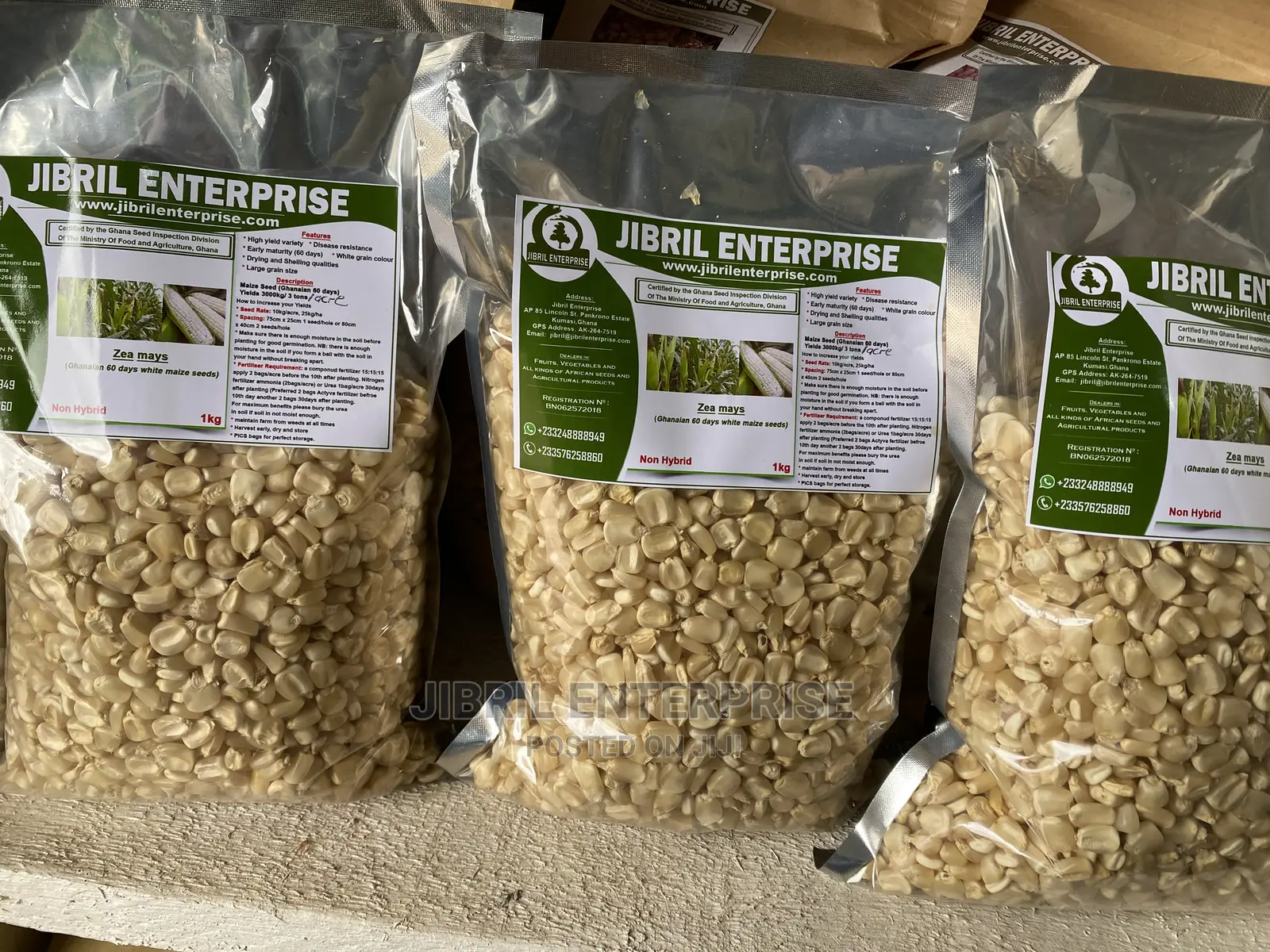 Togolese 60 Days Maize Seeds for Planting