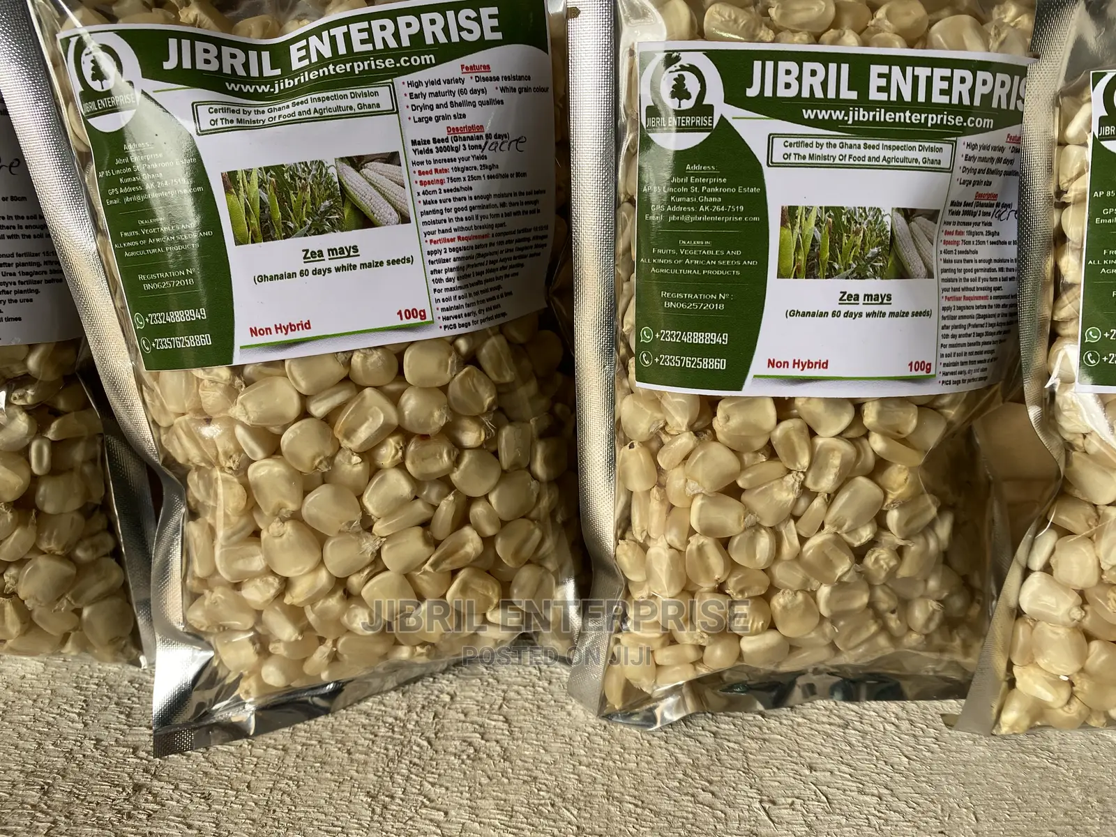 Togolese 60 Days Maize Seeds for Planting