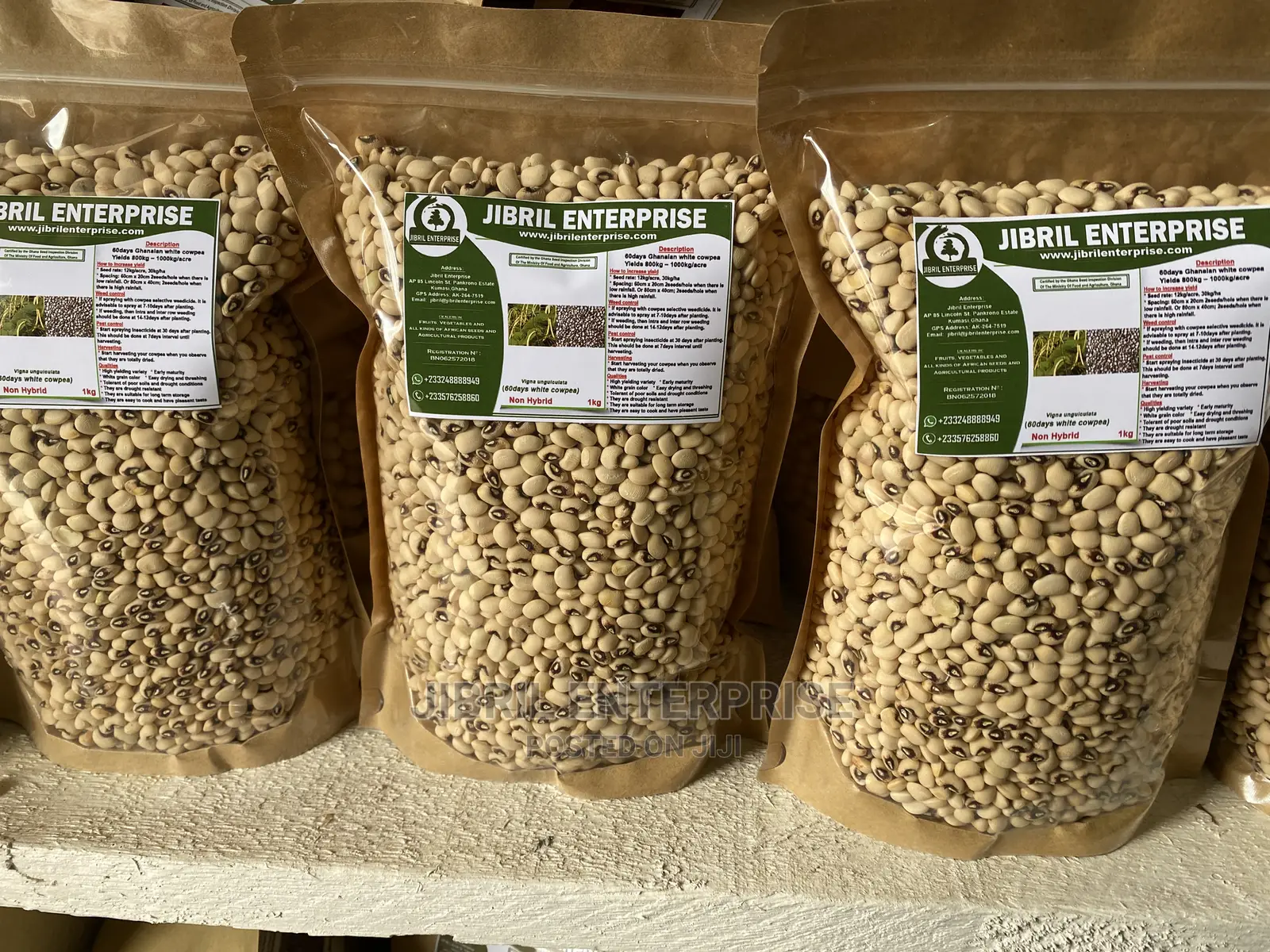 60 Days Cowpea/Beans Seeds for Planting