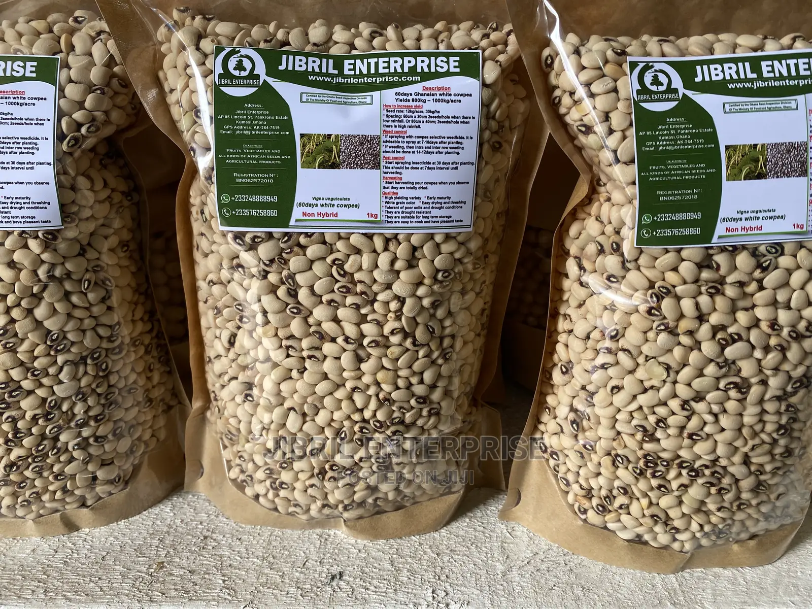 60 Days Cowpea/Beans Seeds for Planting