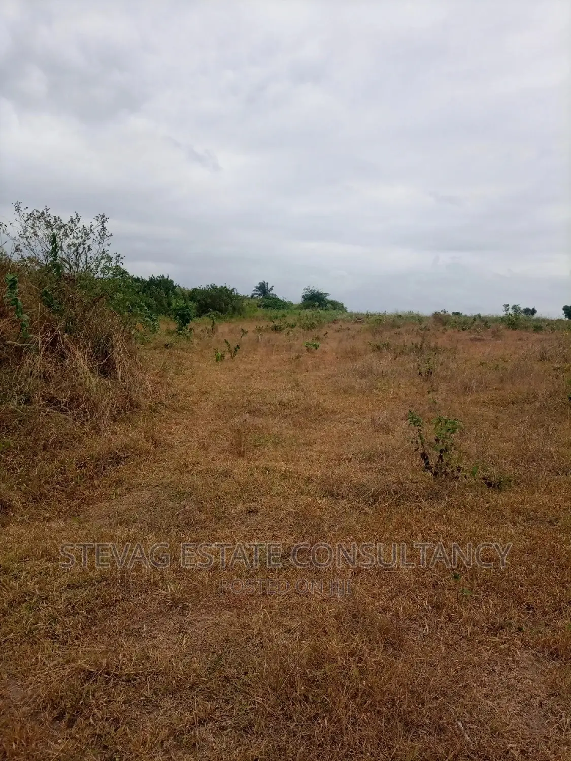 Alpha Properties Land for Sale at Kasoa Adawukwa Town