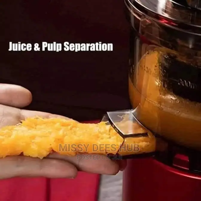 SOKANY Whole Slow Juicer