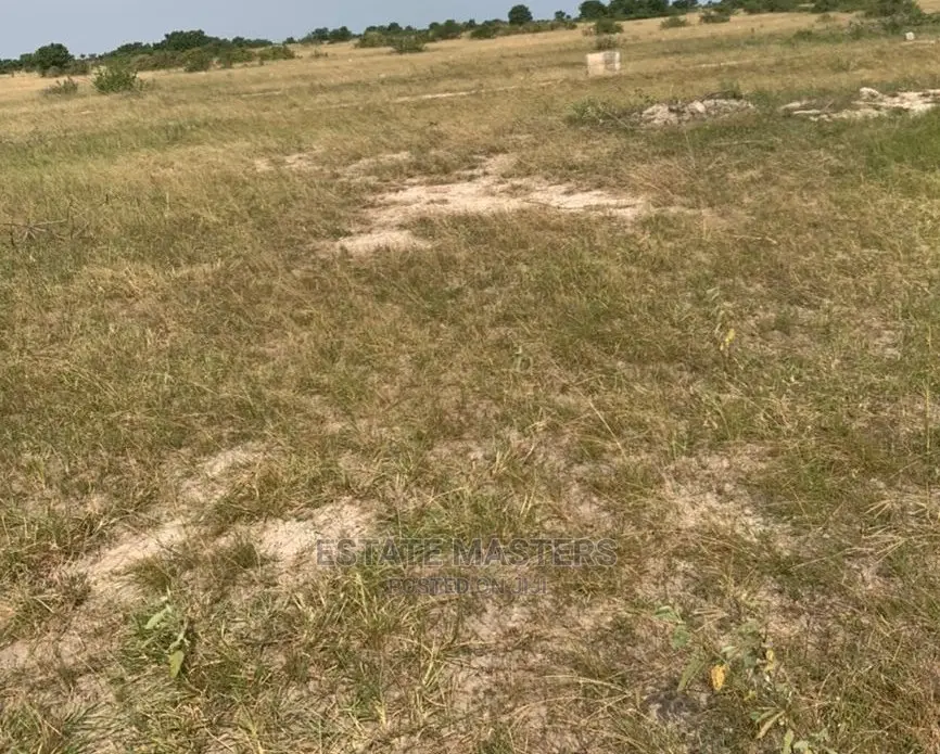 Special Sales on Lucrative Lands.