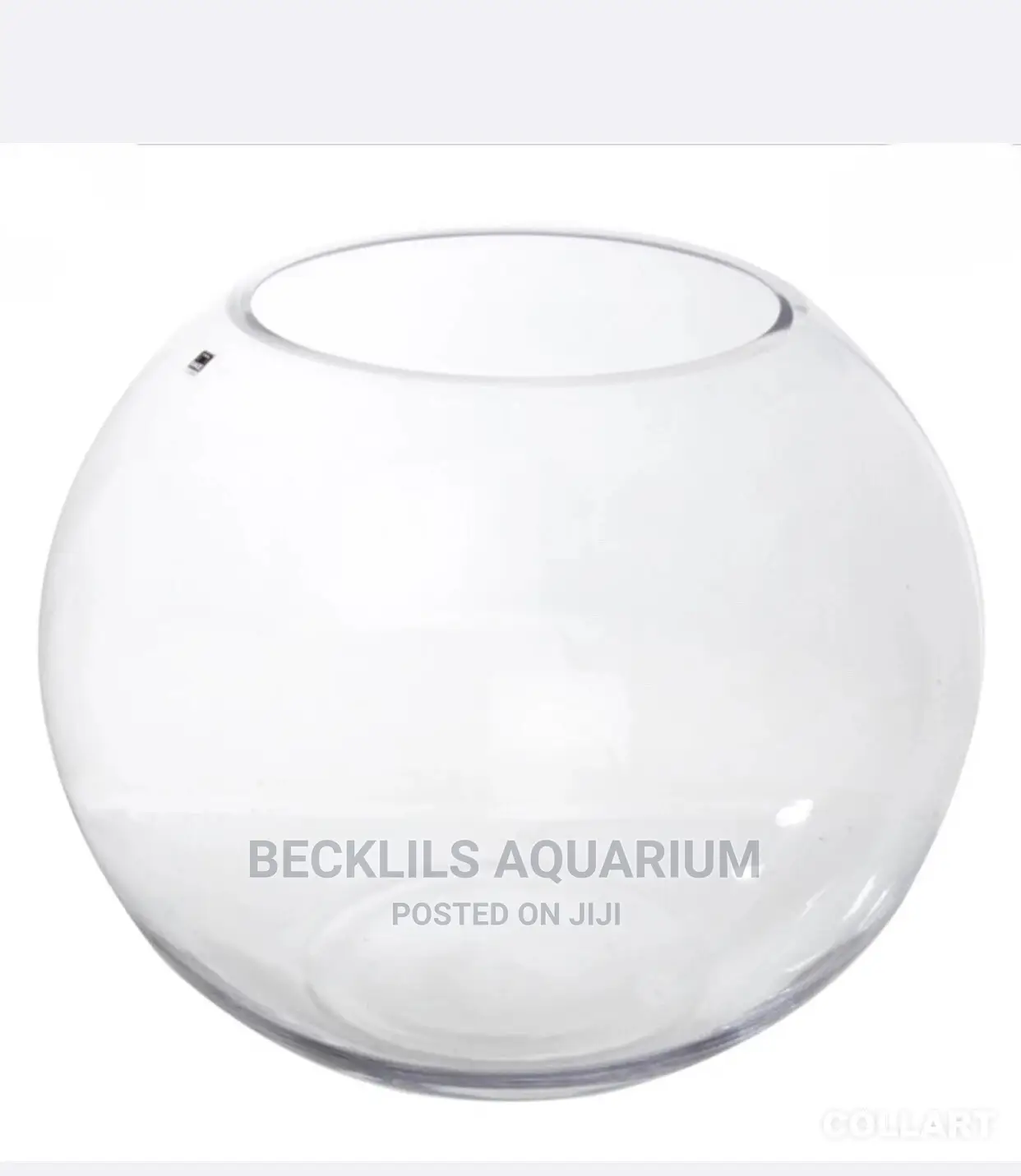 Bigger Aquarium Glass Bowls