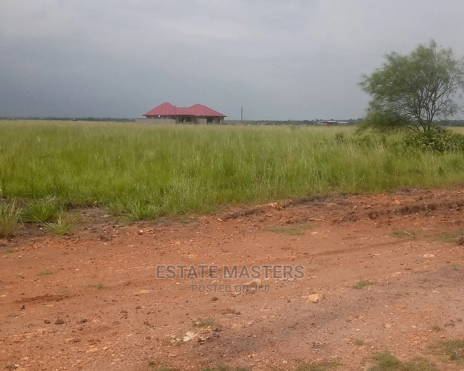 Make a Great Decision in Choosing a Land