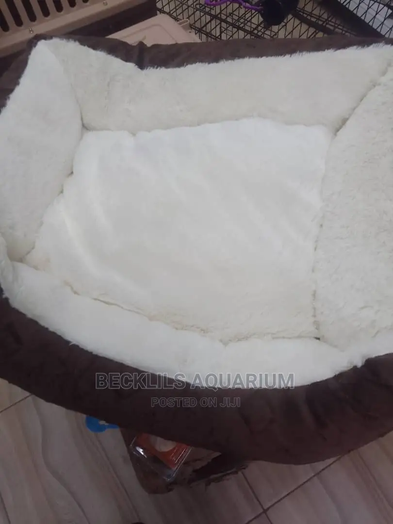 Bed for Dogs