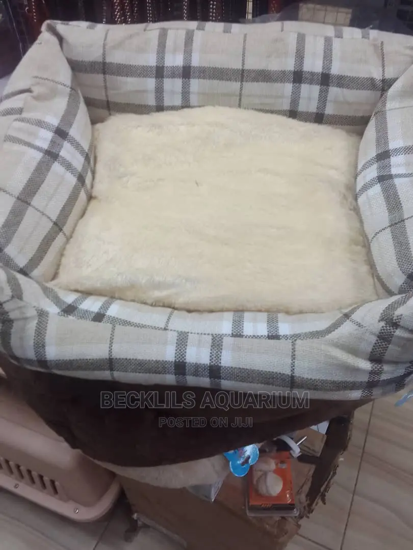 Bed for Dogs