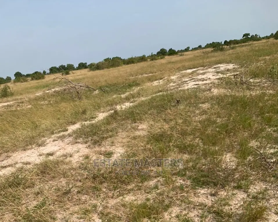 Exclusive and Authentic Lands for Sale