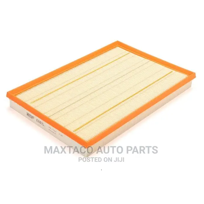 13717548888 Air Filter for BMW X5