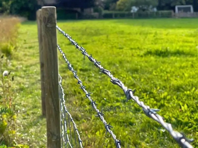 Galvanized Barbed Wire