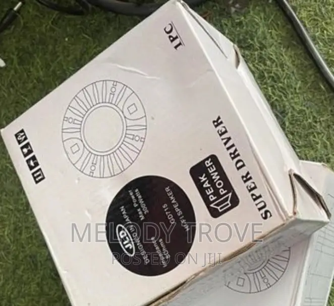 Speaker Drive Unit