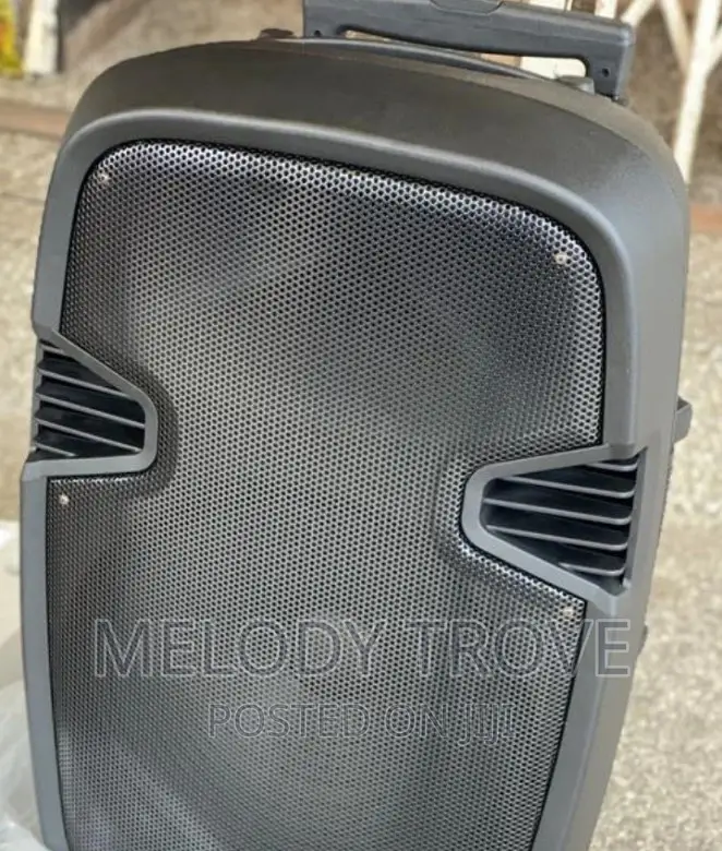 Ev 15inchs Rechargeable Bluetooth Speaker (1500W)