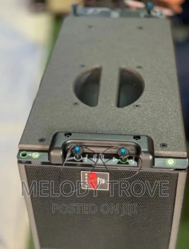 Evp Audio 10" Line Array Speaker