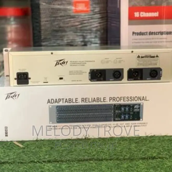 Peavey Dual Band Graphic Equalizer
