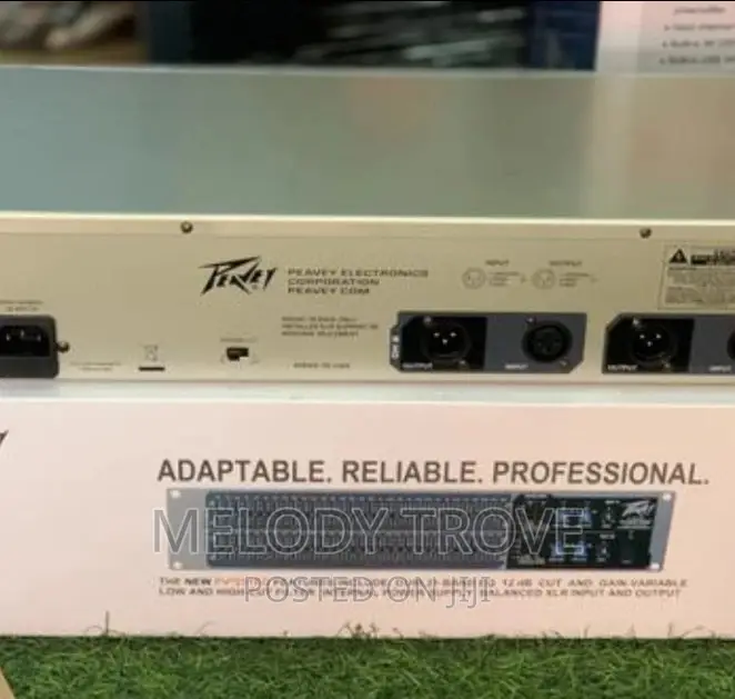 Peavey Dual Band Graphic Equalizer