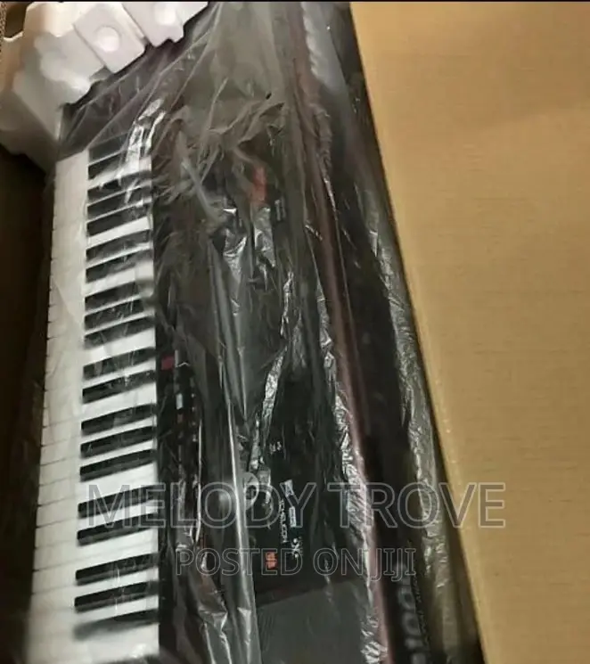 Korg Pa1000 61-Key Professional Arranger Keyboard