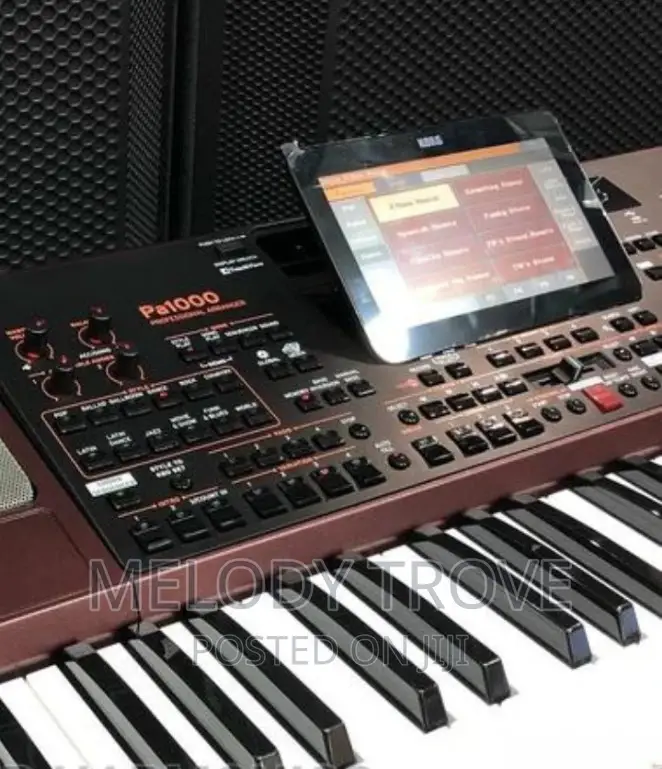Korg Pa1000 61-Key Professional Arranger Keyboard