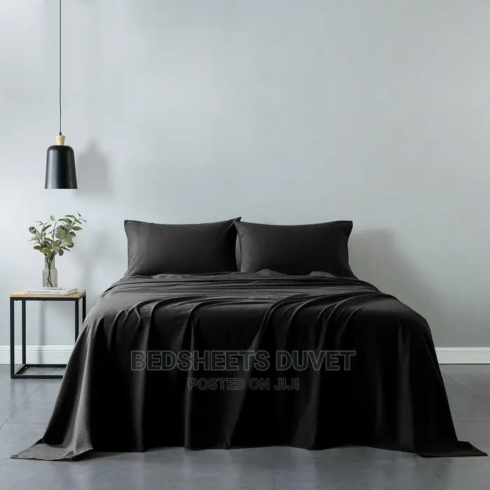 2 Bedsheets and Four Pillow Cases