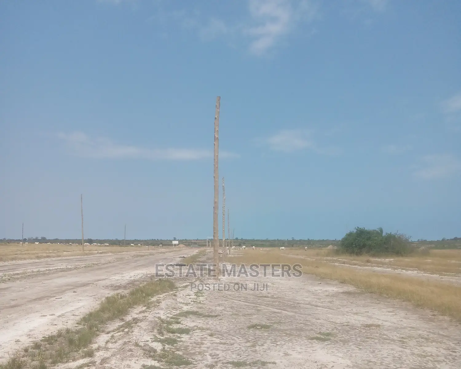 Amazing Sales on Equitable Lands