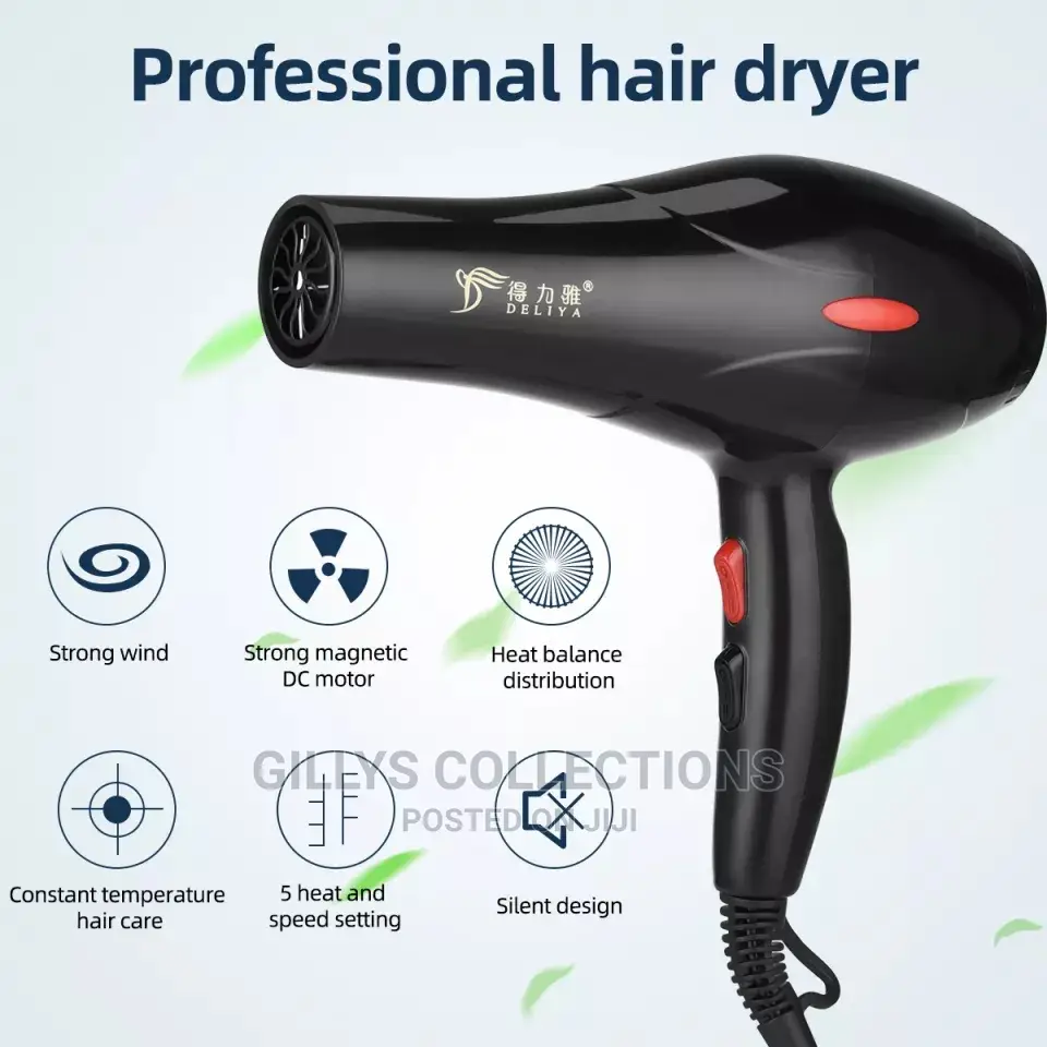 Professional Hair Dryer