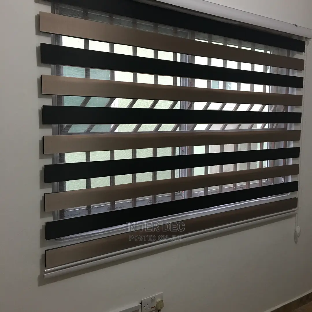 Adorable Zebra Blinds Curtains