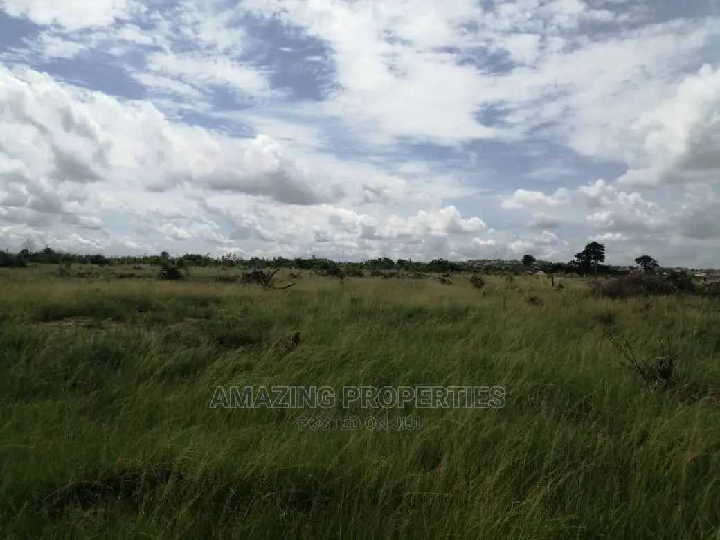 Shiai Hills More Than 20acres of Land Registered Land Title