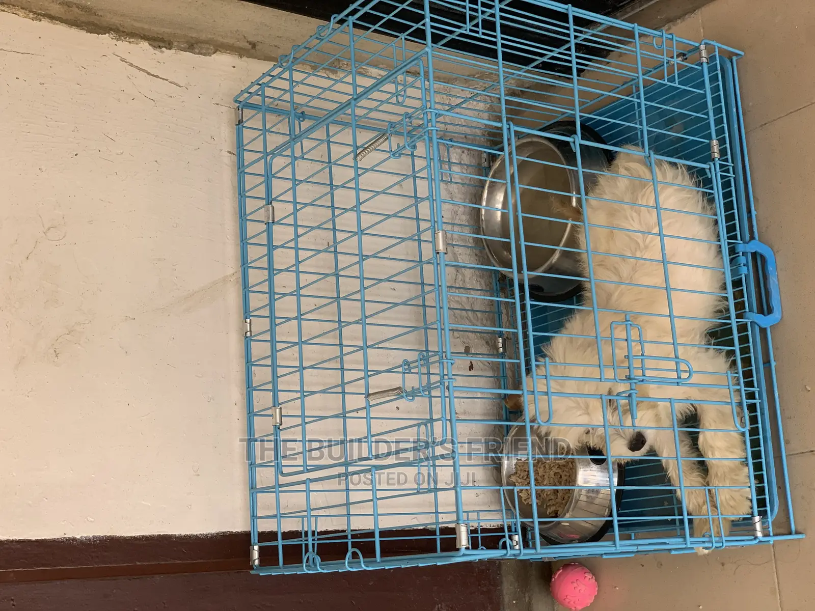 Animal Cage