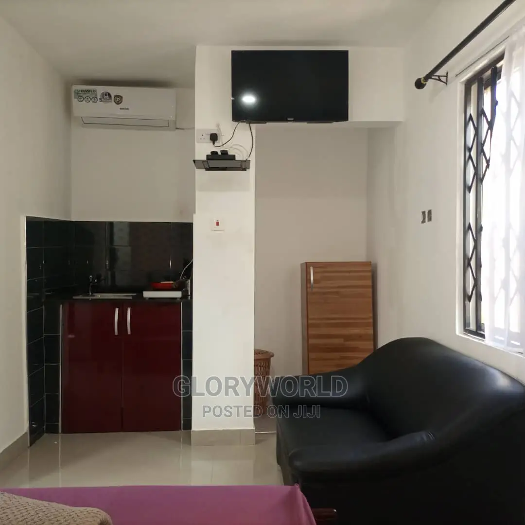 Executive Furnished Studio Apar Totment for Rent at Spintex