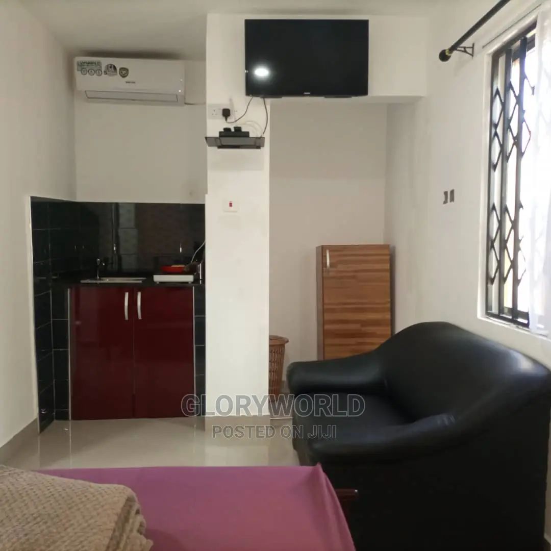 Executive Furnished Studio Apar Totment for Rent at Spintex