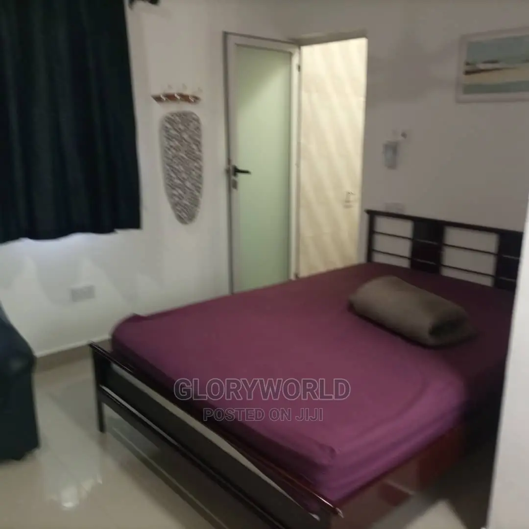 Executive Furnished Studio Apar Totment for Rent at Spintex