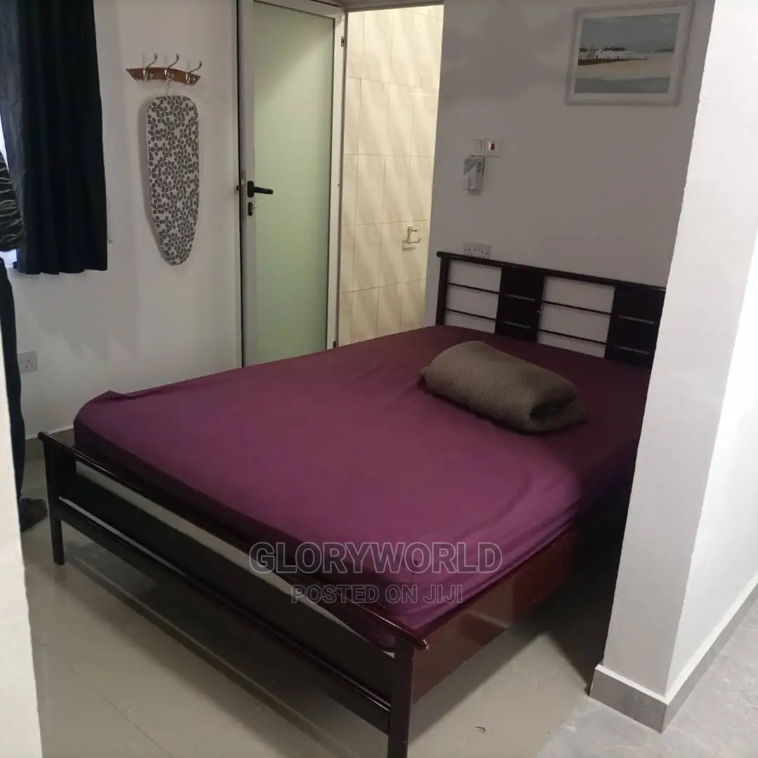 Executive Furnished Studio Apar Totment for Rent at Spintex