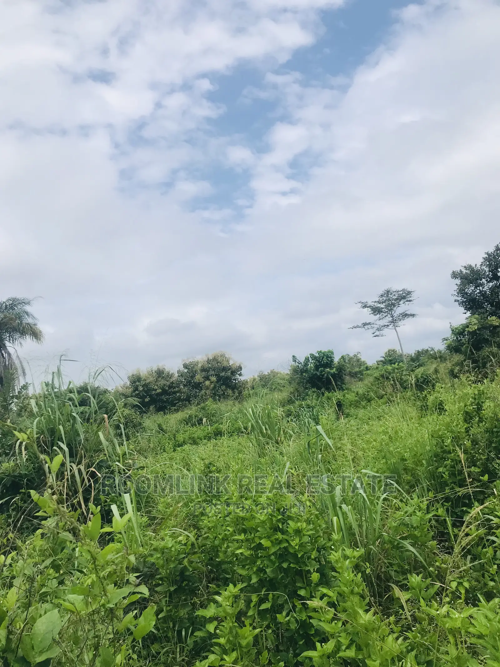 Farmland in Kintampo for Sale, Negotiable