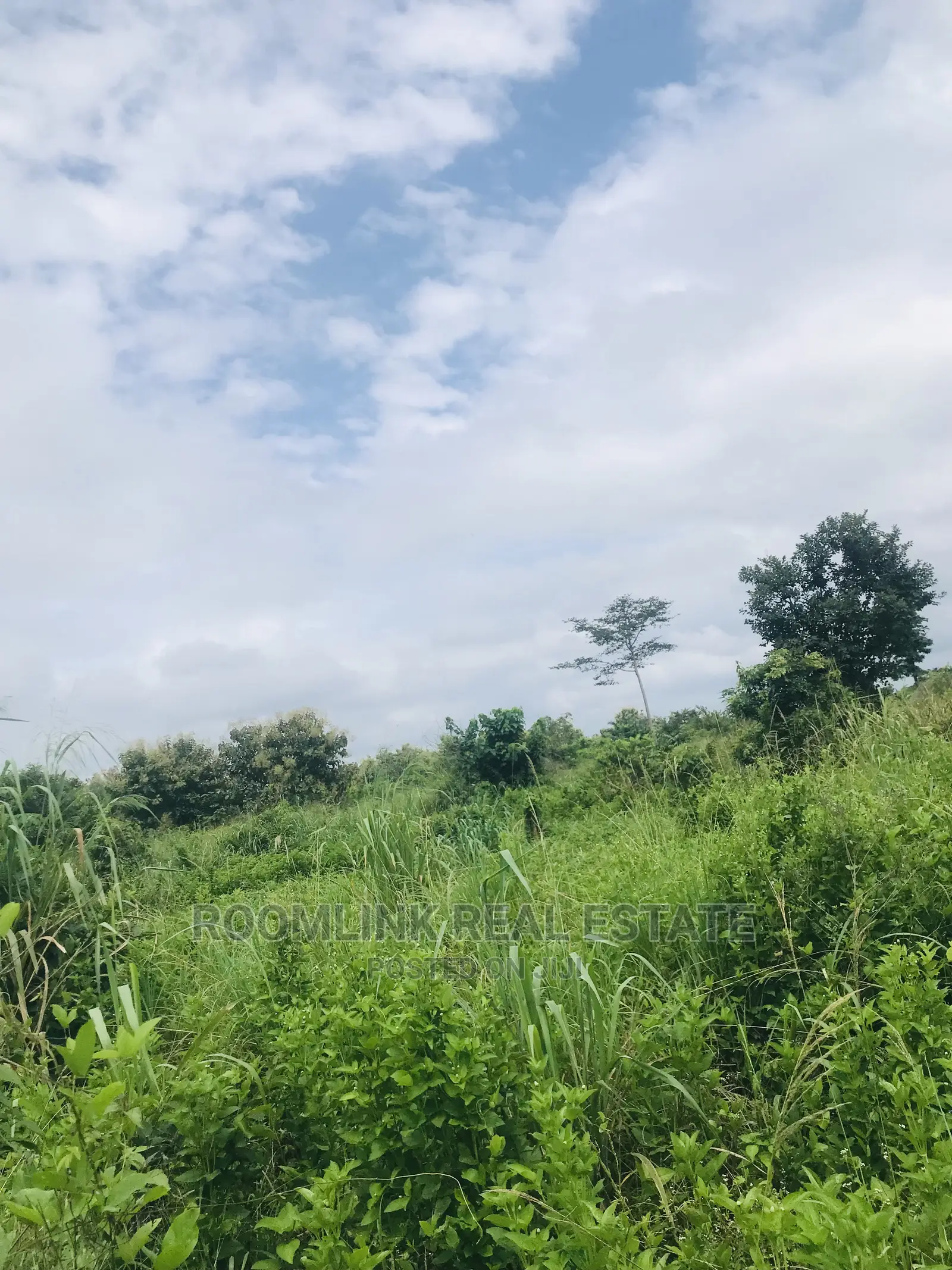 Farmland in Kintampo for Sale, Negotiable