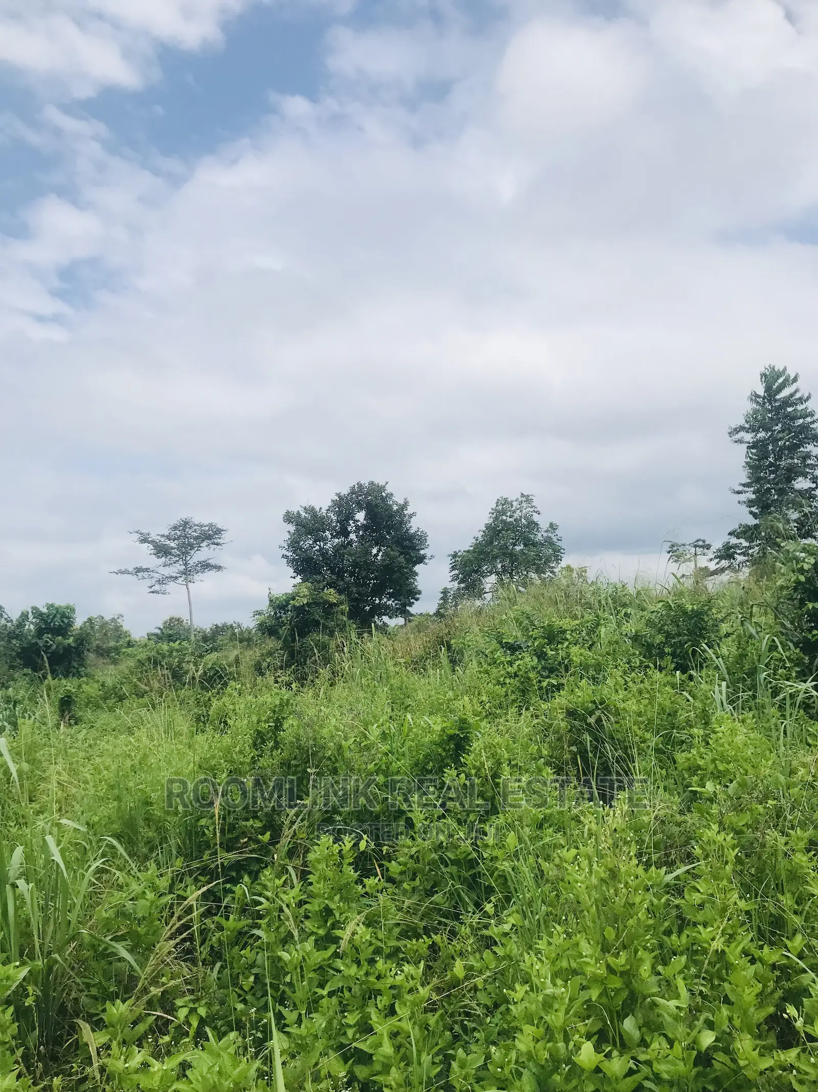 Farmland in Kintampo for Sale, Negotiable