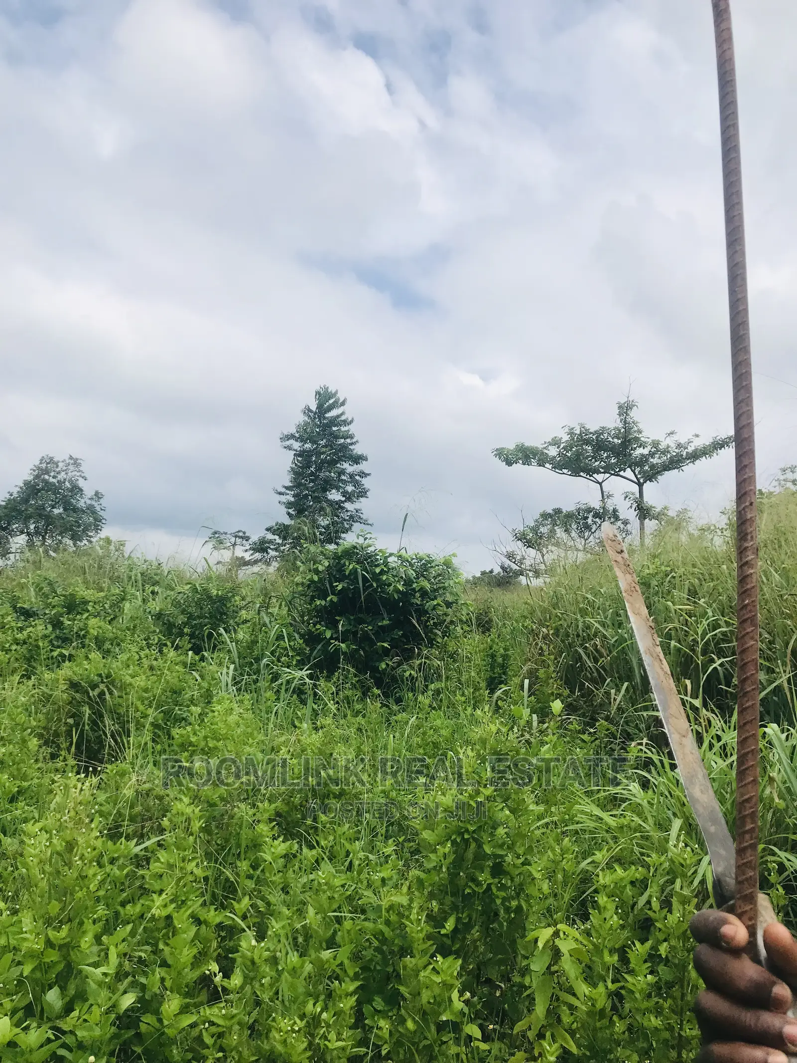 Farmland in Kintampo for Sale, Negotiable