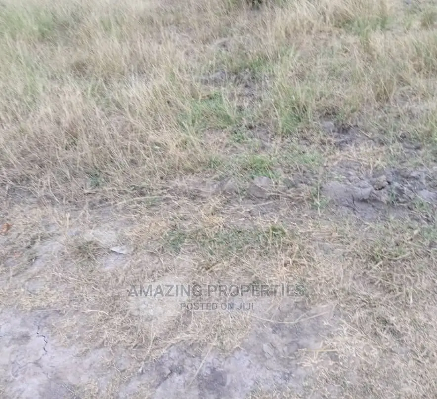 39 Acres of Title Land at Tse Addo
