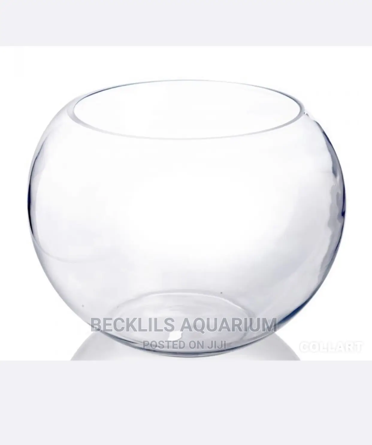 Bigger Glass Bowl