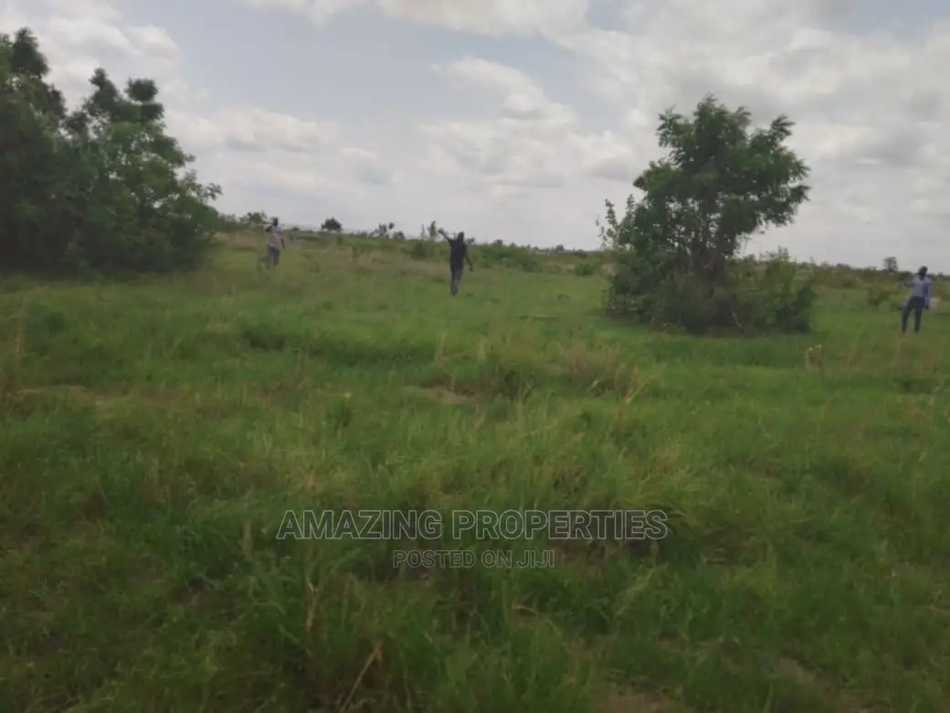 30acres of Registered Land for Sale at Dodowa,