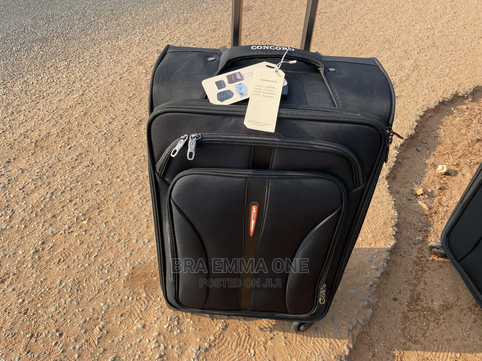 Set of Concord Traveling Bags