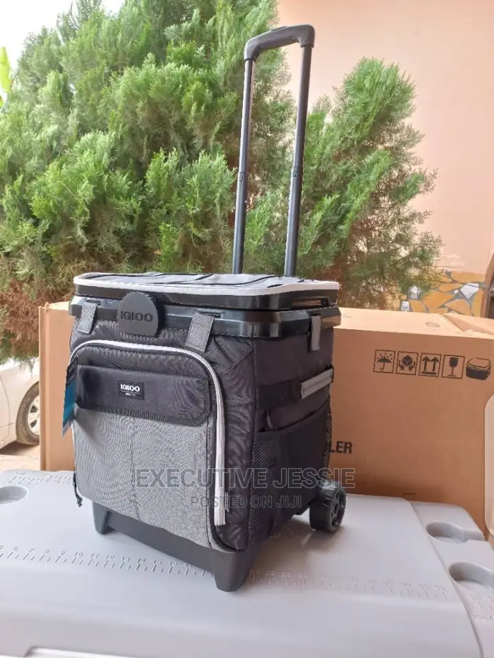 Cooler Bag and Ice Chest