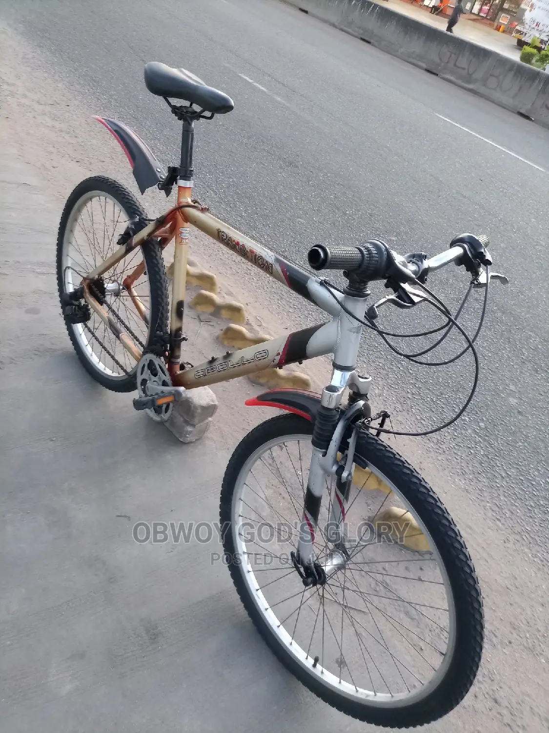 Mountain Type Bicycle
