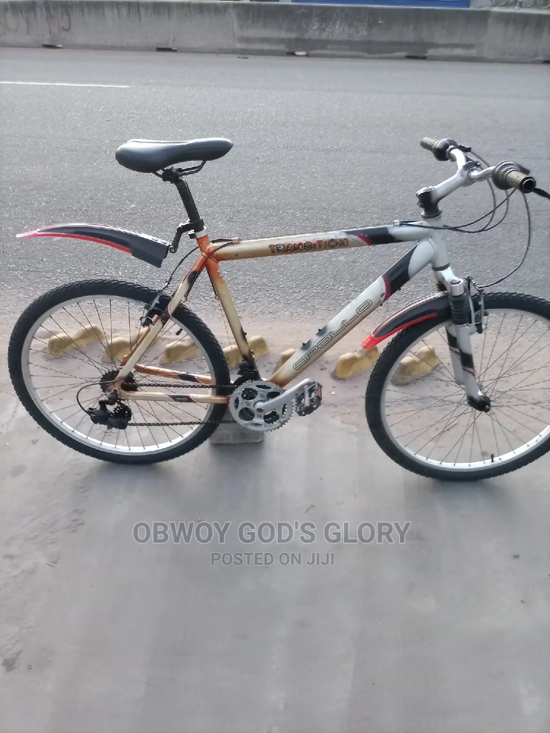 Mountain Type Bicycle