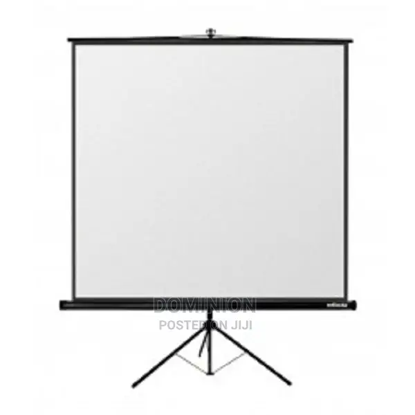 243cm X 243cm Tripod Projector Screen