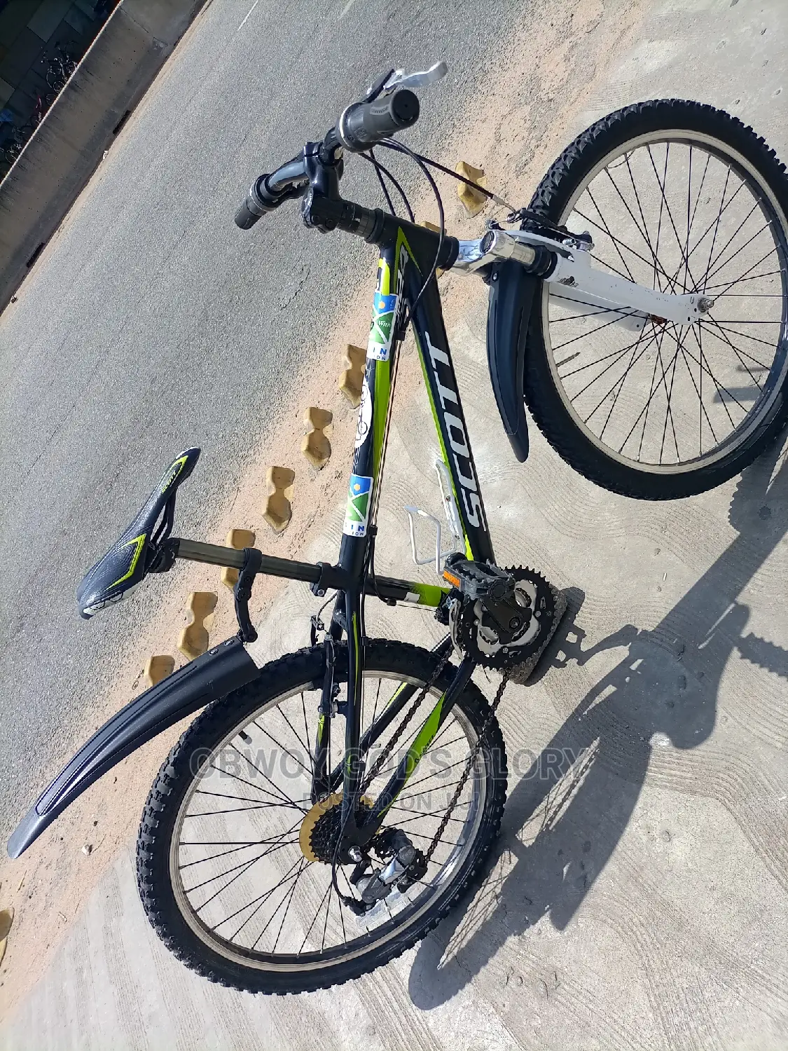 Lovely and Sporty Bike