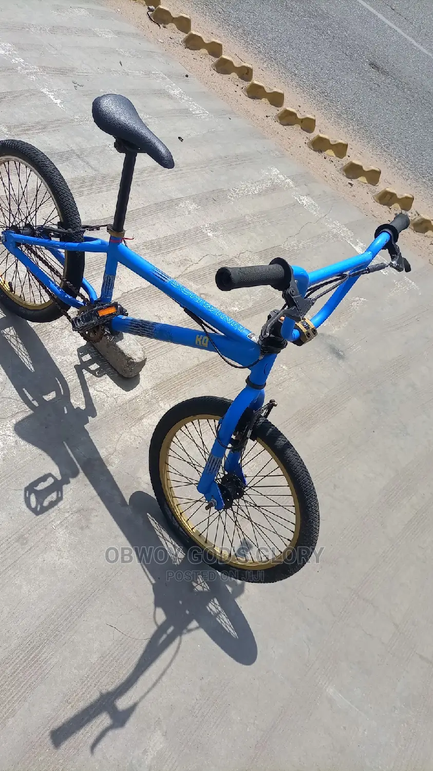 Lovely Blue BMX