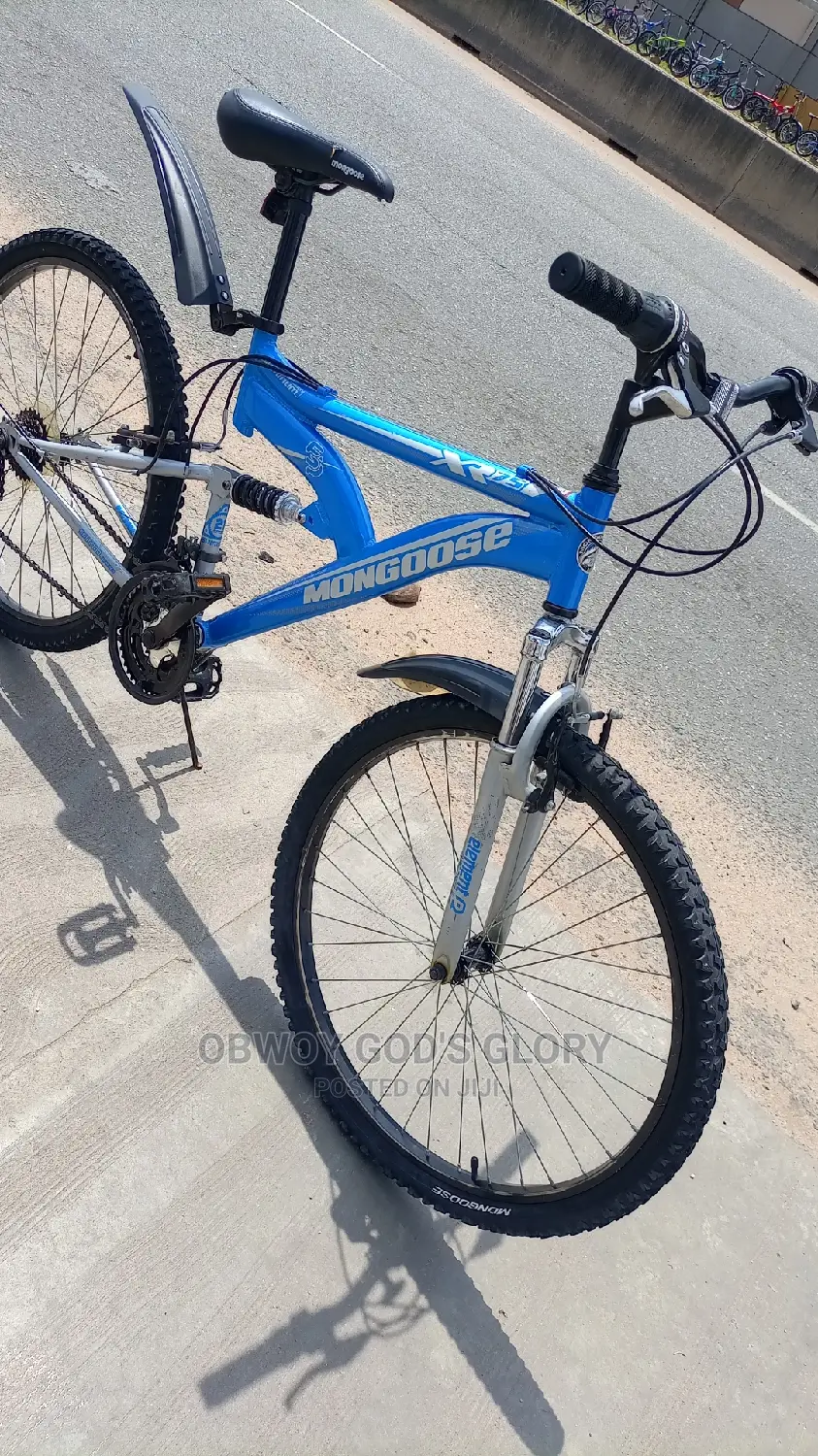 Nice Blue Spring Bike
