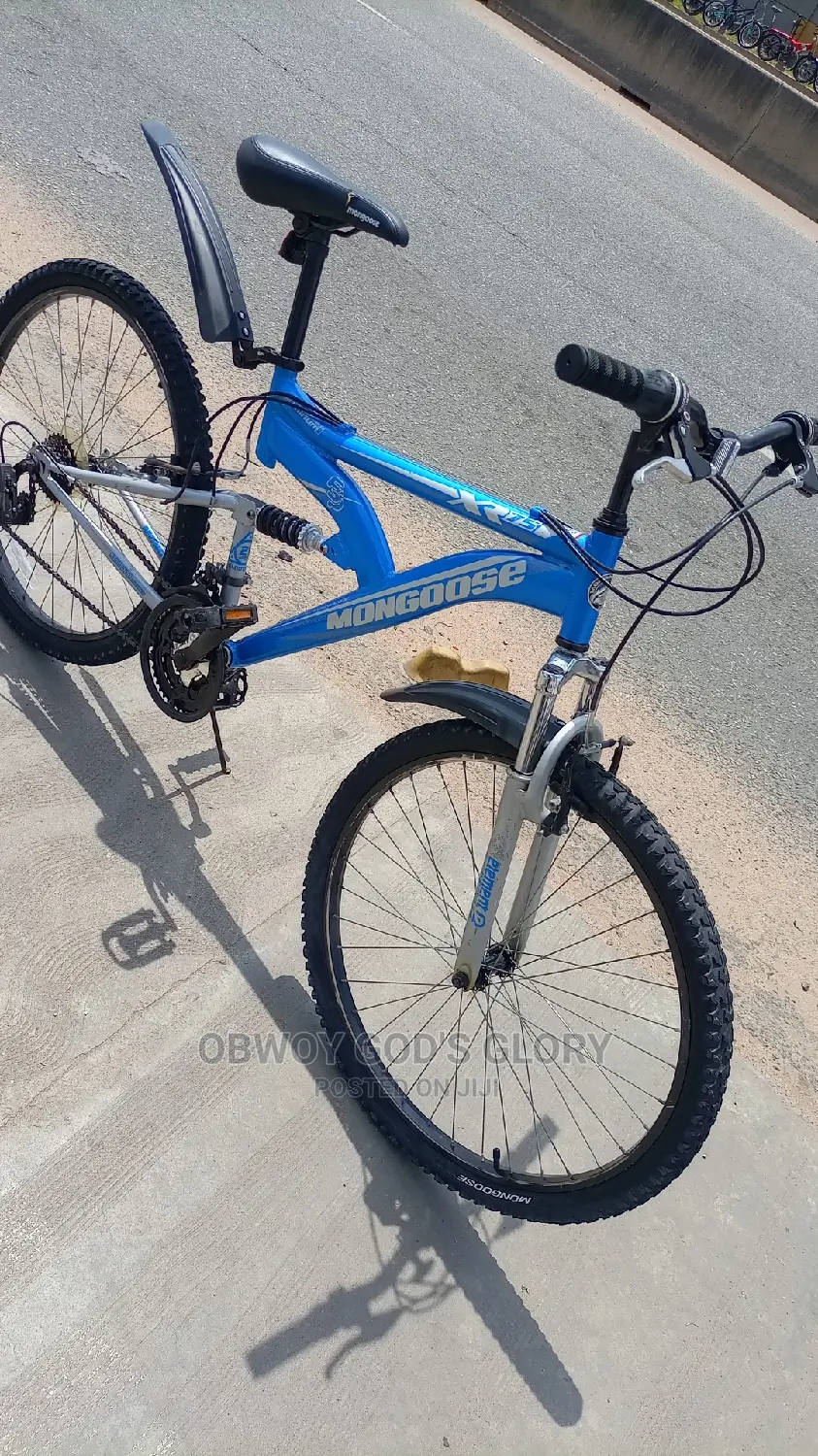 Nice Blue Spring Bike