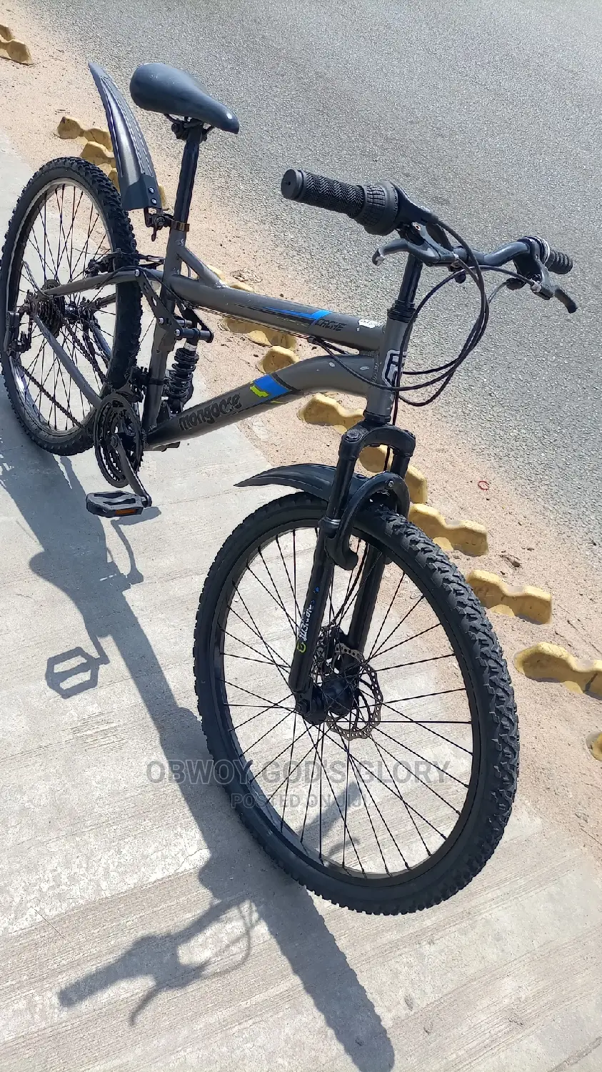 Giant Bouncing Mountain Bike