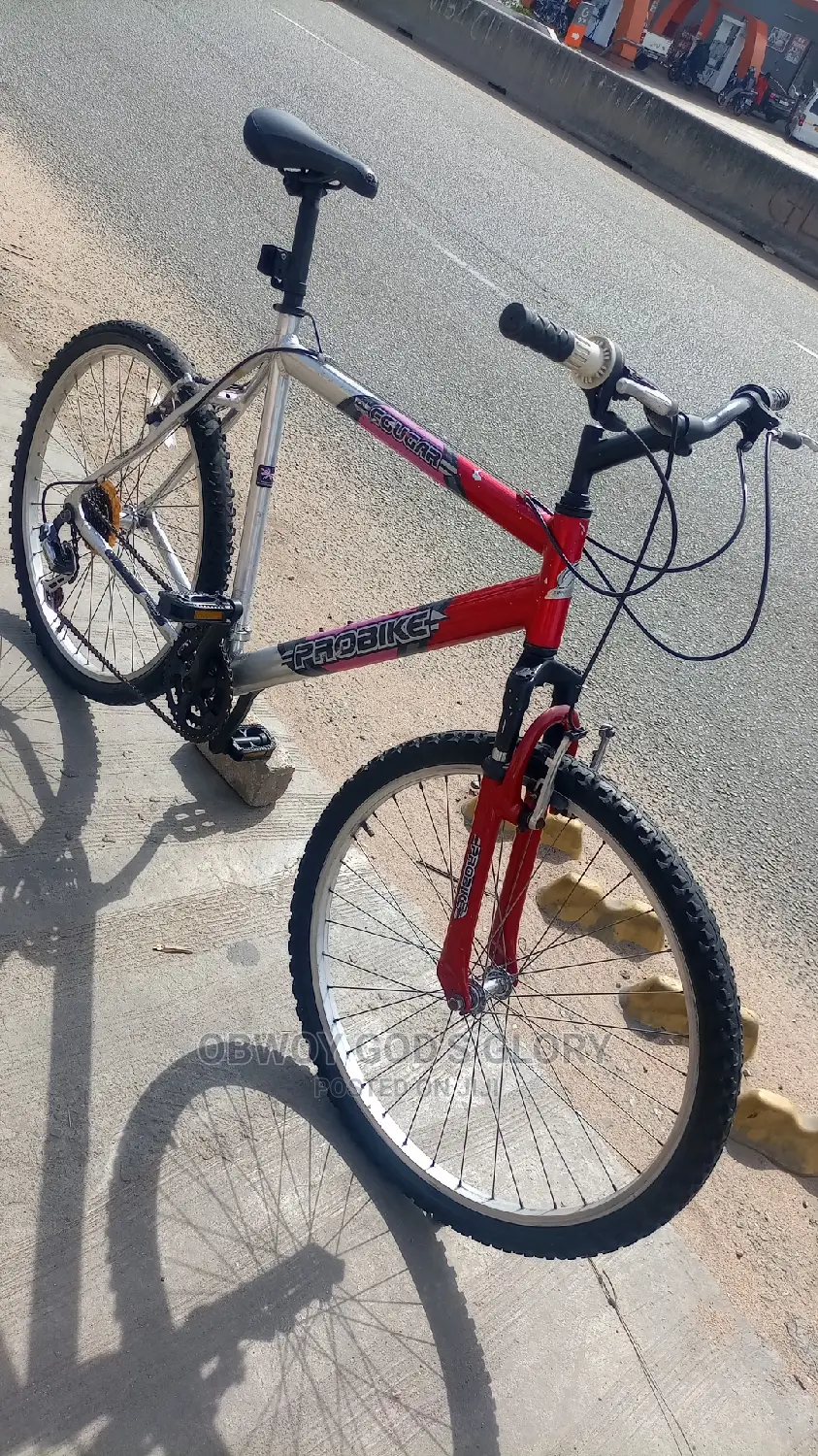 Red and Ash Mountain Bicycle